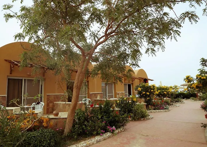 Silver Boutique (adults Only) Üdülőközpont Kuszeir
