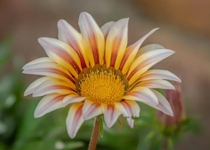 Silver Boutique (adults Only) 3*